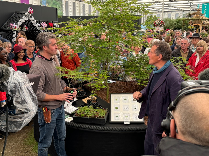 Monty Don interviews Miles Hayward of the Maple Society of Britain and Ireland at Chelsea